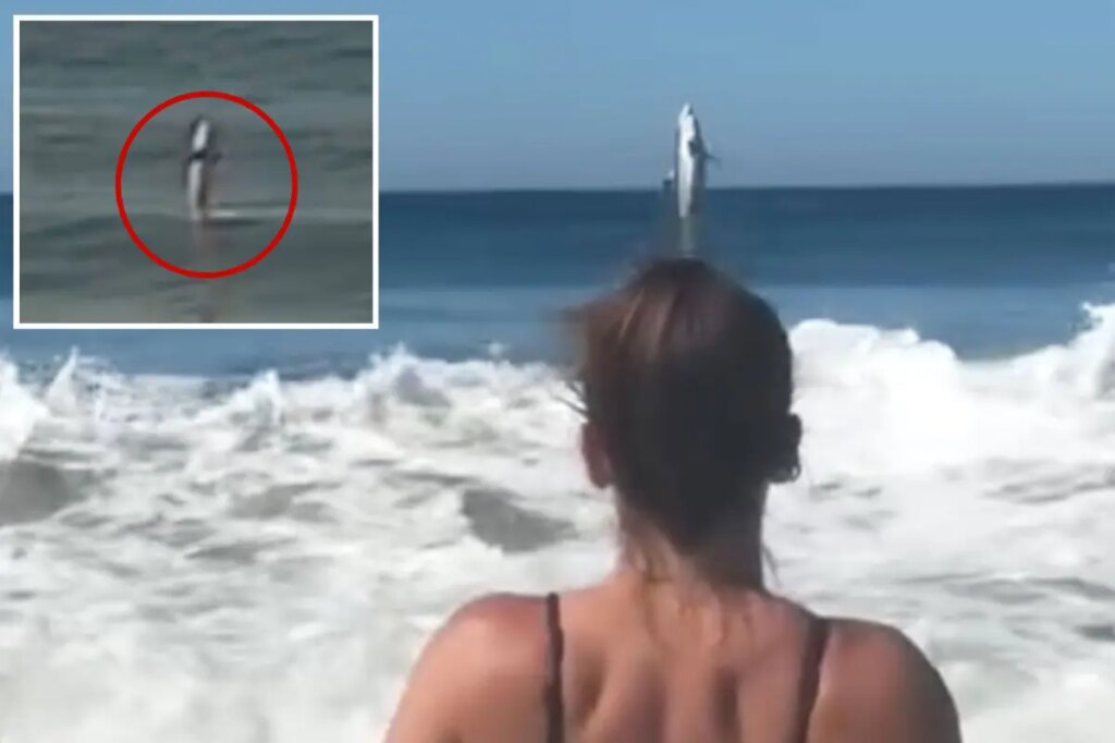 Monster great white leaps out of ocean off scenic Monterey Bay beach