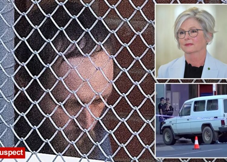 Australian politician Helen Haines loses both legs after car attack