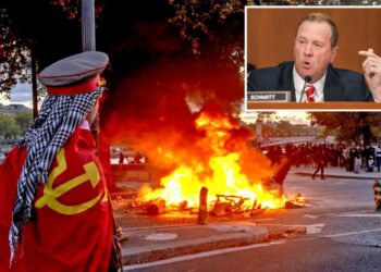 France in flames is preview of what ‘DSA’ Democrats want for US, senator warns