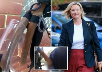 Australian man threatens female politician with nunchucks days after another lawmaker is hit by car