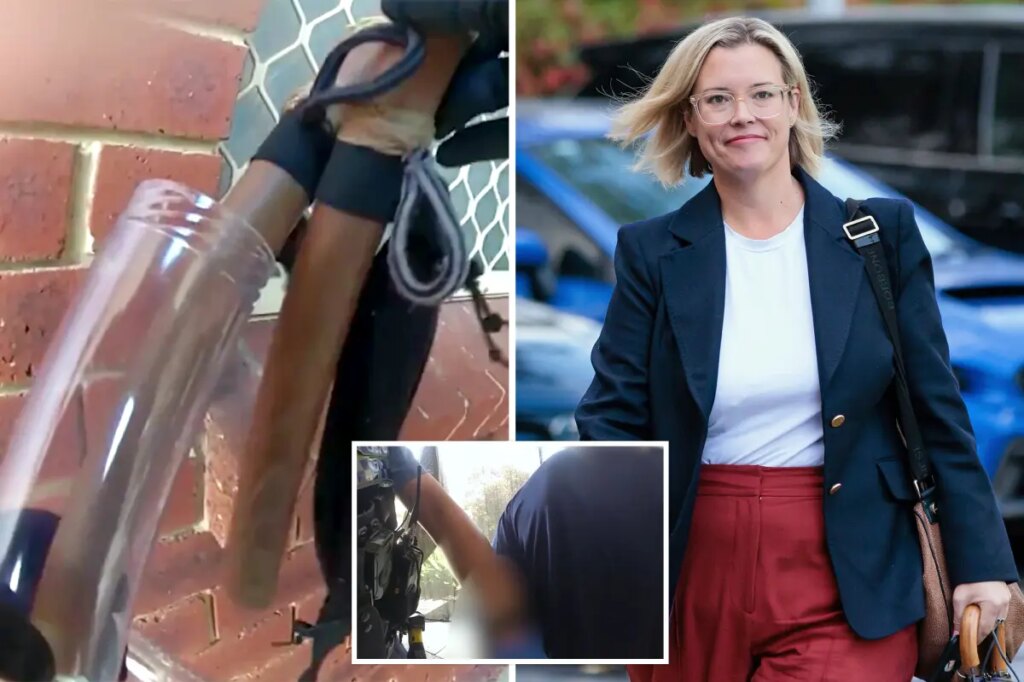 Australian man threatens female politician with nunchucks days after another lawmaker is hit by car