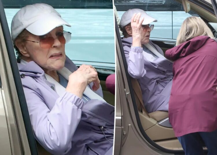 Julie Andrews, 91, seen for first time in months during rare Hamptons outing