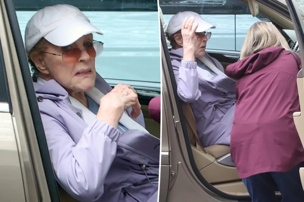 Julie Andrews, 91, seen for first time in months during rare Hamptons outing