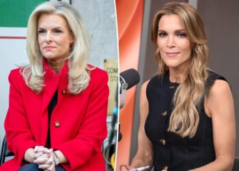 Former Fox News meterologist Janice Dean ‘sick’ of ‘mean girl’ Megyn Kelly ‘putting people down’