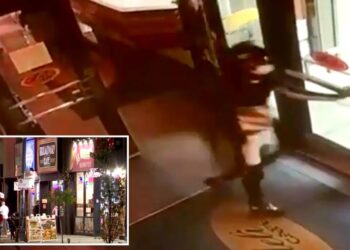 Chicago thieves posing as charity workers steal from diners at restaurants and coffee shops