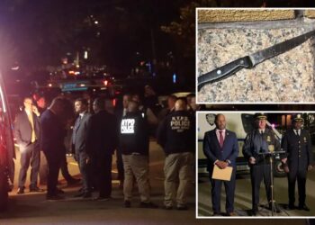 Queens woman shot by NYPD cops after picking up berzerk brother’s knife: family