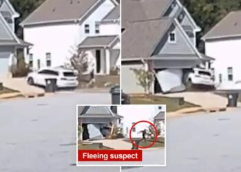 Dramatic footage captures car smashing into house during South Carolina police chase