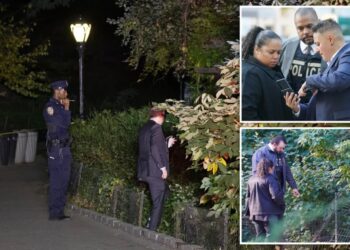 Latest Central Park rape is fifth in iconic green space so far this year: ‘Stay away’