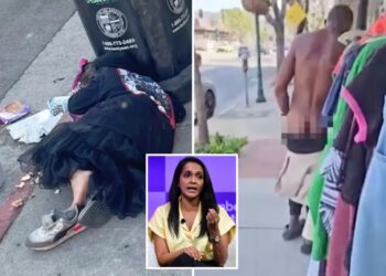 Nithya Raman campaign tries to slam ‘Poop Zone’ attack ads with ethics complaint, but group fires back