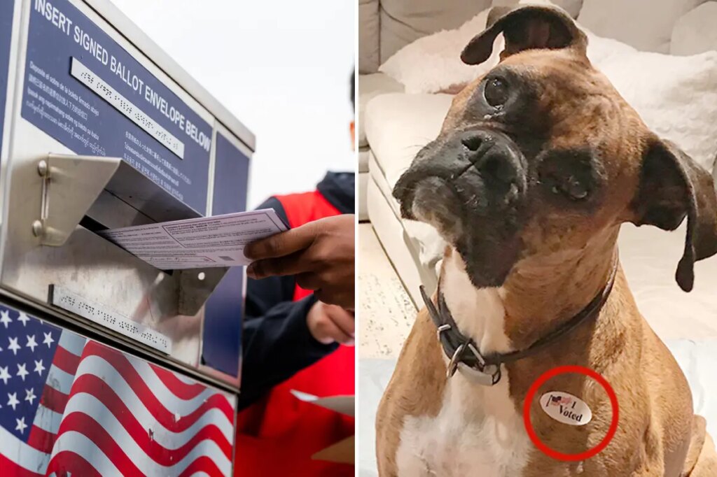 California’s doggone voting disaster reveals a loophole lawmakers can’t ignore
