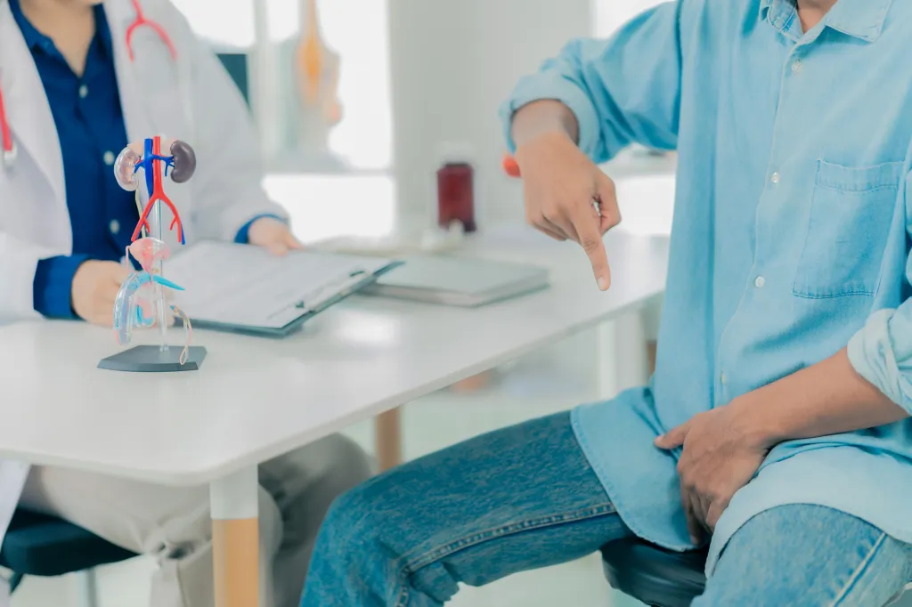 A patient pointing to his groin area while consulting a doctor in an office with a human urinary system model on the desk.