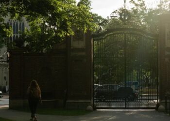 Harvard Endowment Soars to $68 Billion Even as Federal Cuts Force Layoffs