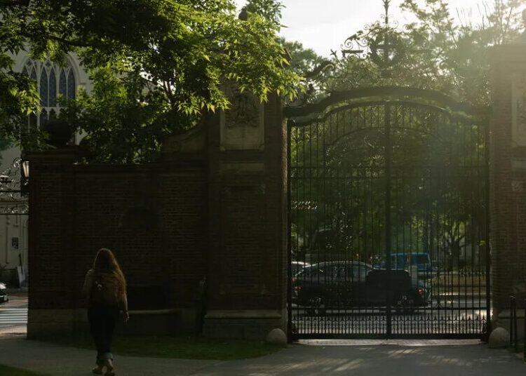 Harvard Endowment Soars to $68 Billion Even as Federal Cuts Force Layoffs