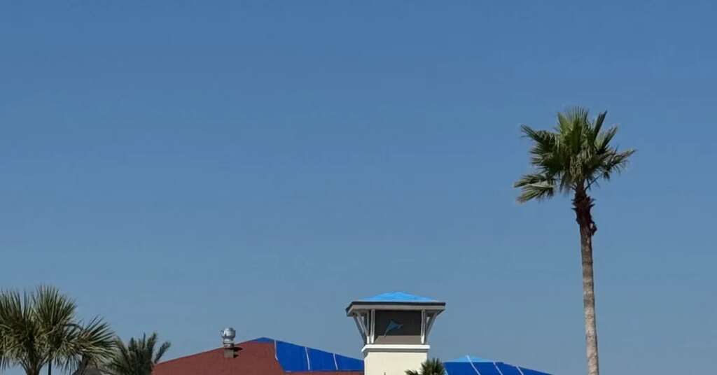 Key to Past Hurricane Cleanup, Some Immigrant Workers Fear Florida’s Raids