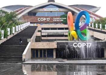 Nations Meet in Armenia as Goal to Protect Nature Remains Out of Reach