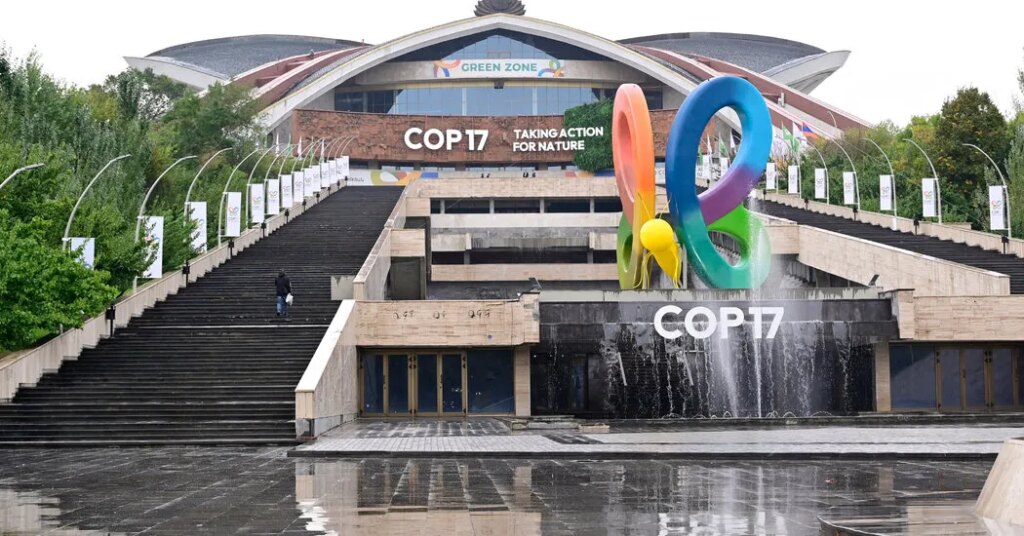 Nations Meet in Armenia as Goal to Protect Nature Remains Out of Reach