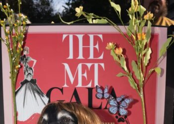 22 Free Things to Do With Kids This Fall in New York City