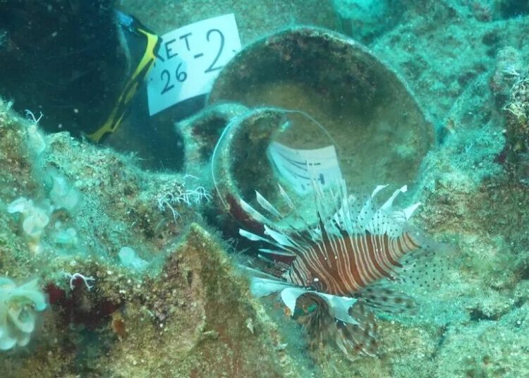 The World’s Oldest Shipwreck? Maybe, but ‘We’re All Excited by Maybe.’