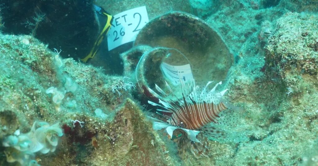 The World’s Oldest Shipwreck? Maybe, but ‘We’re All Excited by Maybe.’