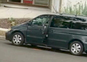 Santa Ana Police search for woman who appears to deliberately run over puppy in disturbing video