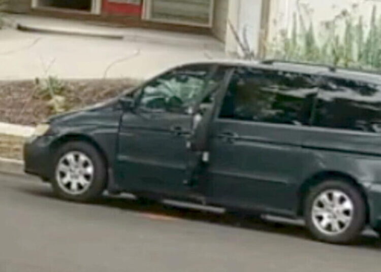 Santa Ana Police search for woman who appears to deliberately run over puppy in disturbing video