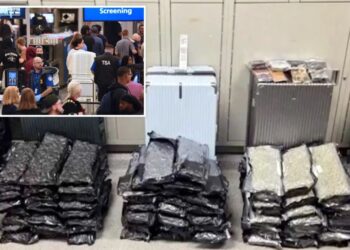 Staggering drug haul found at Orlando airport after bizarre attempt to hide evidence