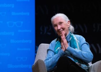Jane Goodall Prepared Us for a World Without Her