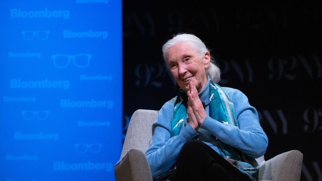 Jane Goodall Prepared Us for a World Without Her