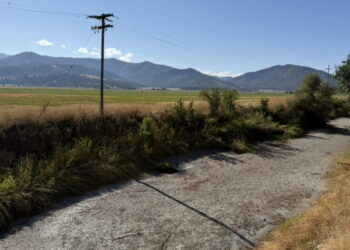A California river has dried up. Critics say the state should do more to protect its salmon