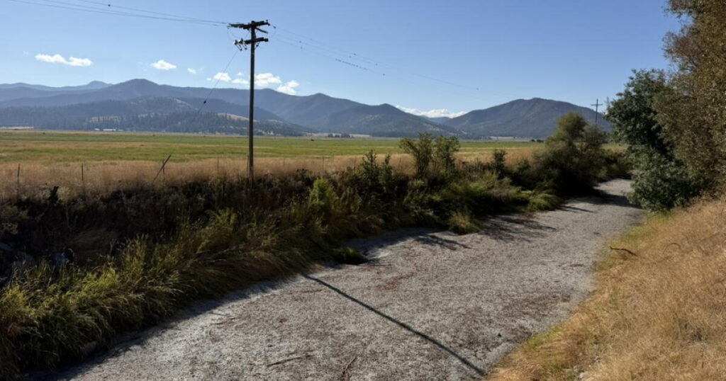 A California river has dried up. Critics say the state should do more to protect its salmon