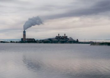 States Sue Over Trump’s Repeal of Climate Rules for Power Plants