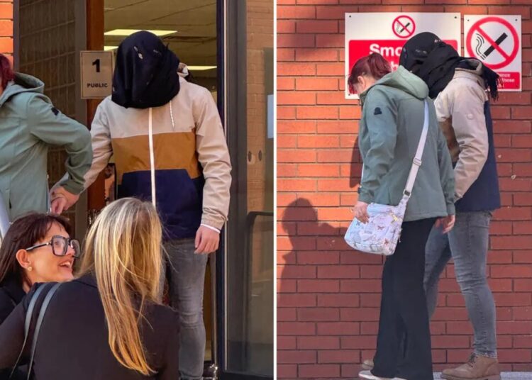 Teen faces sentencing after pleading guilty to trying sex act with Shetland pony