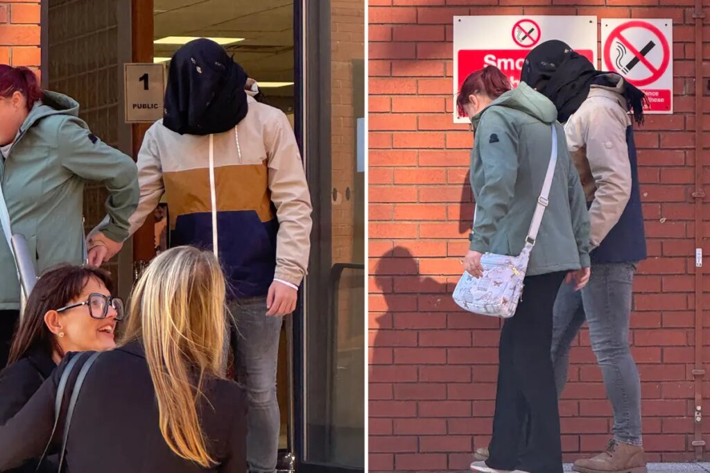 Teen faces sentencing after pleading guilty to trying sex act with Shetland pony