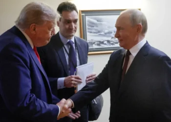 Disbelief as Trump White House unveils ‘appalling’ new display: ‘Pretty insane’