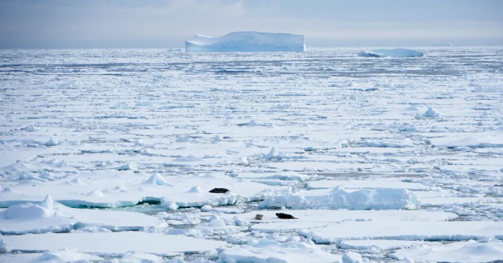 The MacArthur ‘Genius’ Studying Sea Ice Secrets