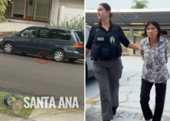 SoCal accused puppy crusher unmasked after sick video of her luring dog under minivan