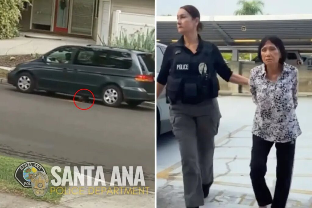 SoCal accused puppy crusher unmasked after sick video of her luring dog under minivan