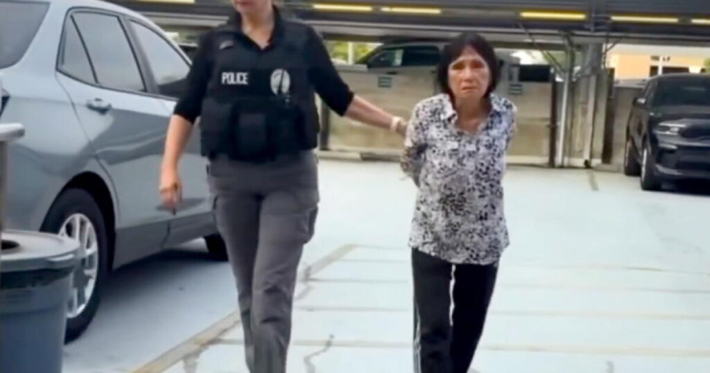 Woman allegedly caught on video running over Blackey the puppy is arrested by Santa Ana police