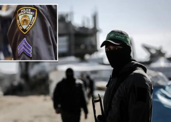 Two US brothers busted in $1.7M Hamas fundraising scheme — that was exposed with help from the NYPD