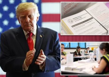 DNC sues Trump admin over voting change for Americans abroad