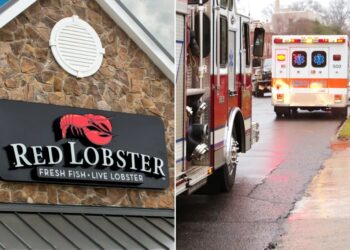 Georgia diner calls 911 to try to dodge $63 Red Lobster bill, cops say
