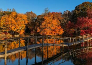 5 Hotels for Savoring the Fall, From a Rockies Lodge to a London Hideaway