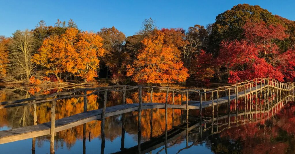 5 Hotels for Savoring the Fall, From a Rockies Lodge to a London Hideaway