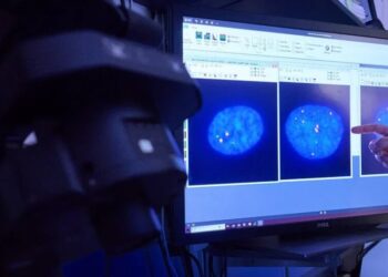 Scientists Untangle the Biology of an ‘Undruggable’ Cancer Gene