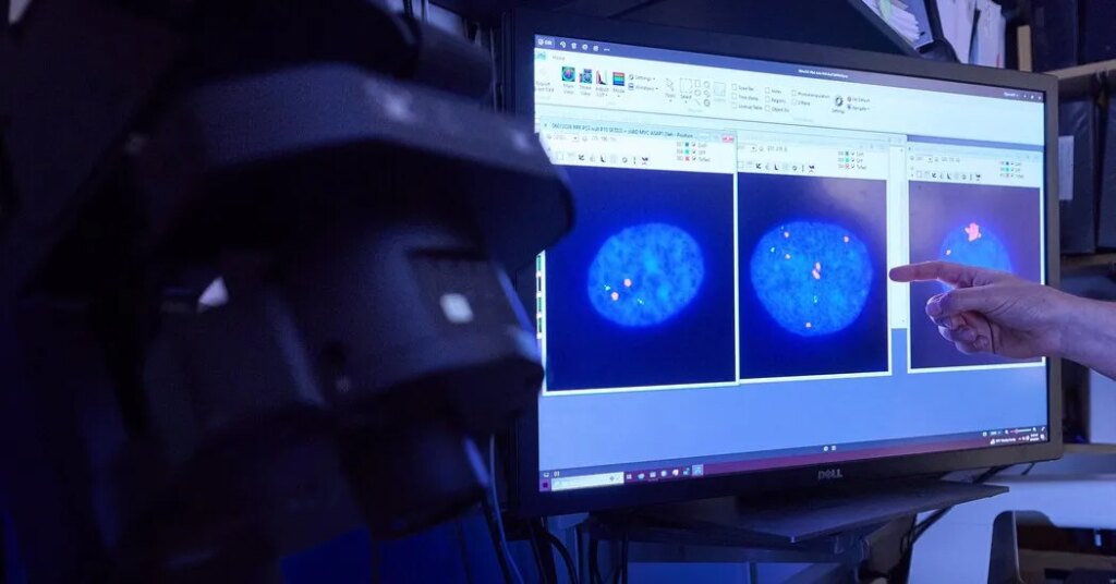 Scientists Untangle the Biology of an ‘Undruggable’ Cancer Gene