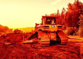 Google Accused of Illegally Killing a Massive Forest for Its New Data Center Project
