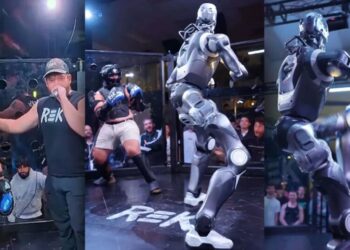 Government Officials Order the Robot Cage Fights to Stop, Organizers Say