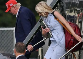 Trump took Natalie Harp’s tablet to watch videos of himself during strategy meeting: NYT