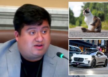 Minneapolis councilman mocked after claiming self-driving cars are ‘murdering’ pets: ‘Hide your cats’