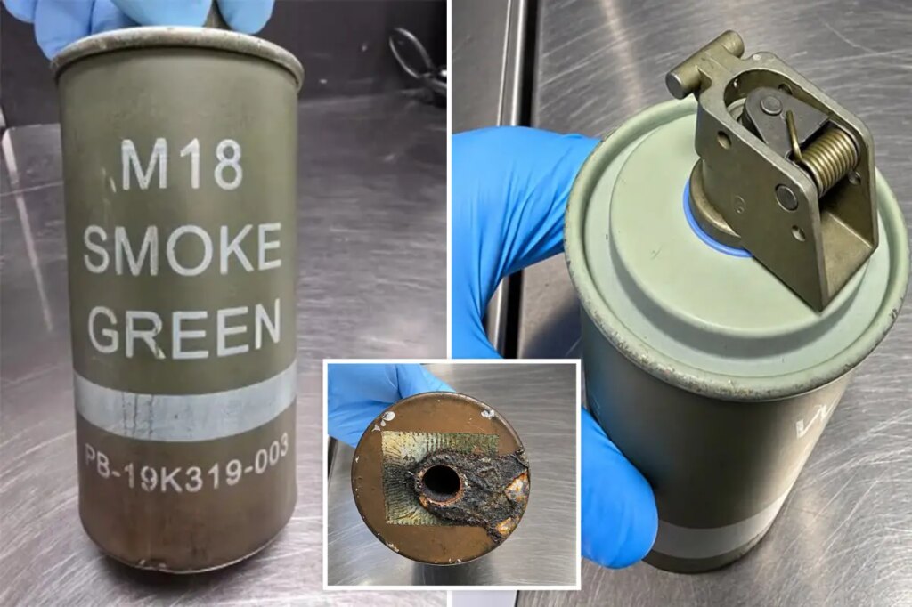 NY airport X-ray exposes dangerous weapon illegally concealed in passenger’s carry-on